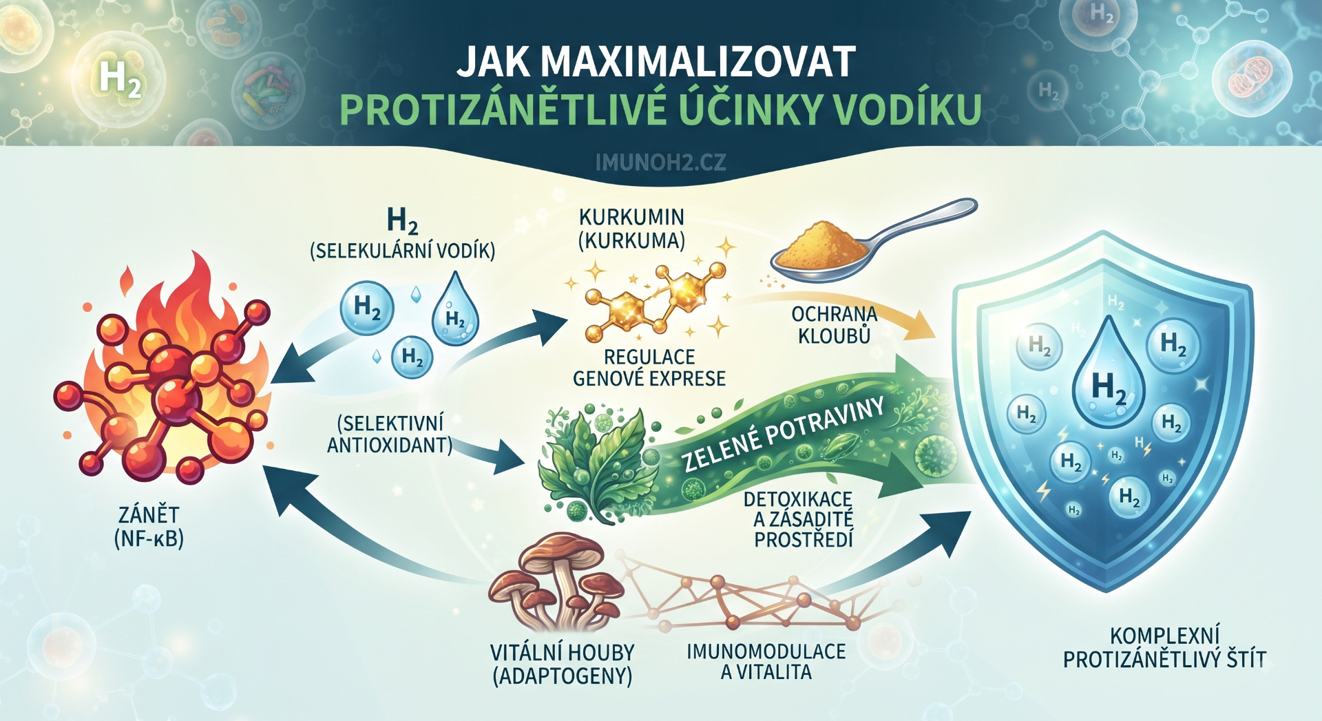 Infografika o protizánětlivých účincích vodíku H2, s molekulami, štítem a textem v češtině.